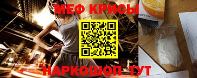 кокс Гатчина