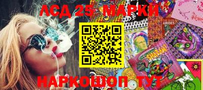 кокс Гатчина