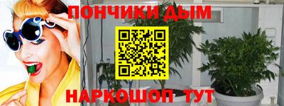 кокс Гатчина