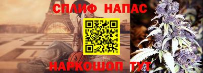 кокс Гатчина