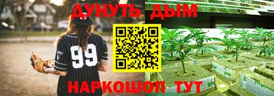 apvp Гай