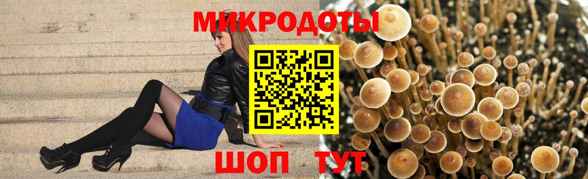 продажа наркотиков  Галлюциногенные грибы мухоморы  Вход с VPN  Озёры 
